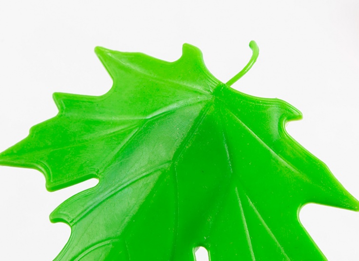 پادری طرح برگ