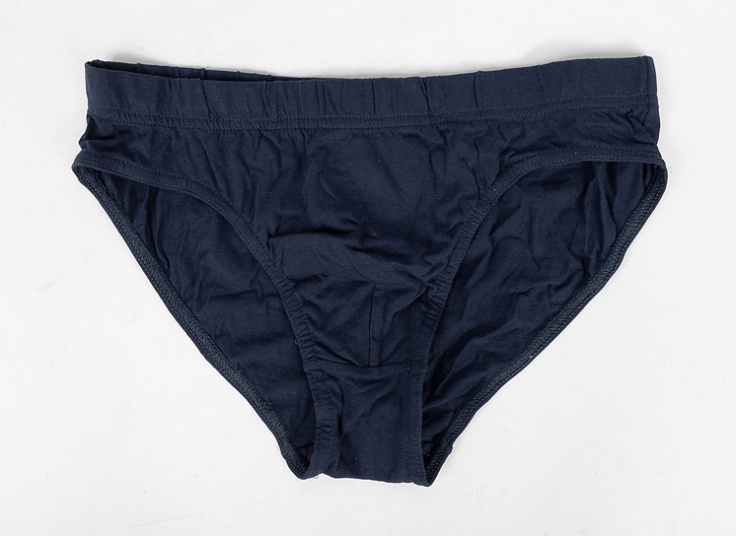 لباس زیر مردانه اسلیپ Cedar Wood State