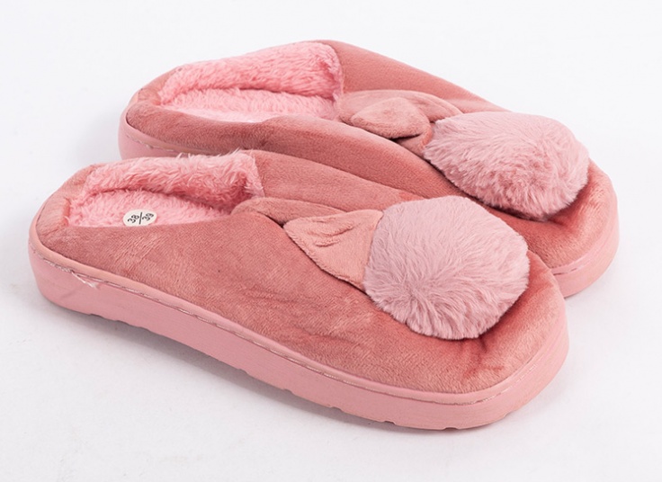 اسلیپر پولیشی فانتزی