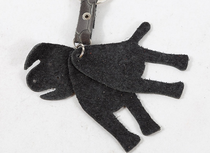 جاسوئیچی چرم