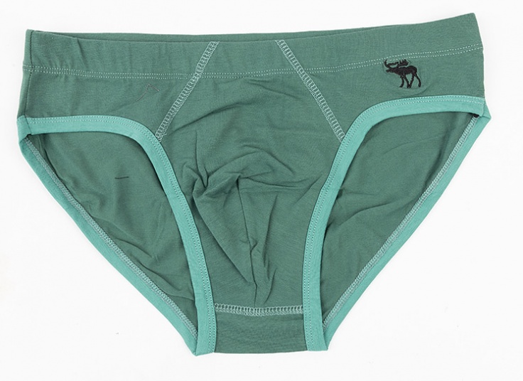 لباس زیر مردانه اسلیپ ساده