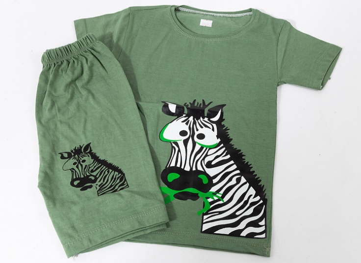 ست تیشرت شلوارک پسرانه Zebra