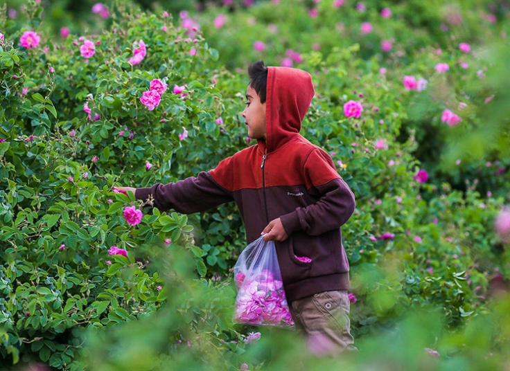 تور یک روزه کاشان آژانس شال و کلاه سفر