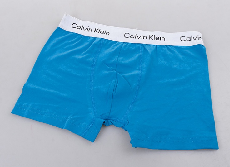 لباس زیر مردانه باکسر Calvin Klein