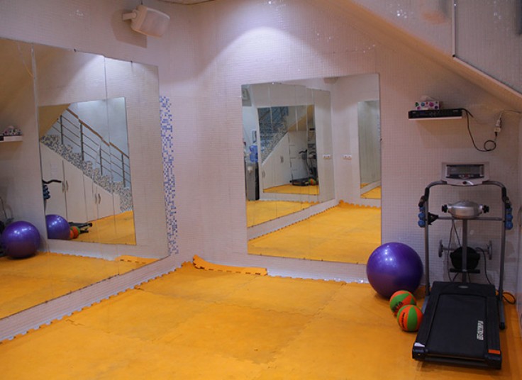 ایروبیک دلفین آبی