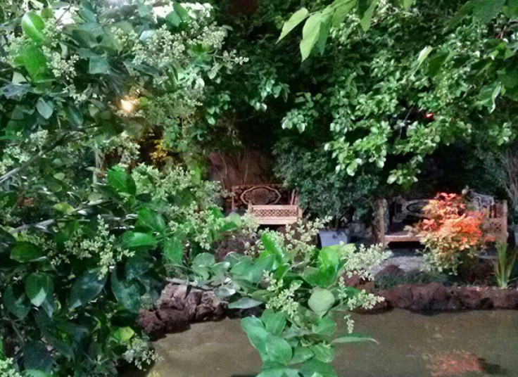 سرویس چای و قلیان رستوران برکه