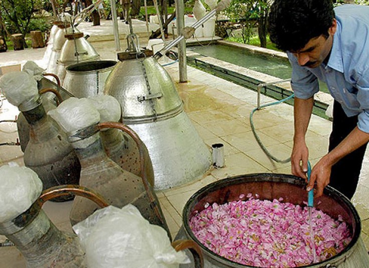 تور گلاب گیری  آژانس آرتین رایا