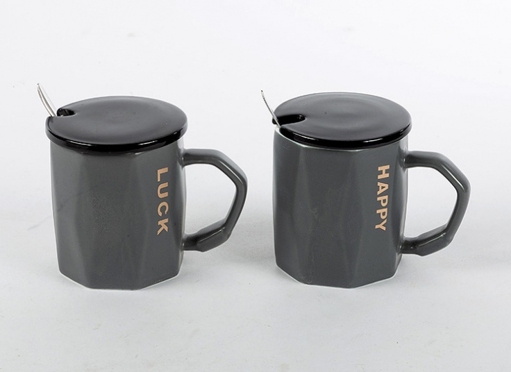 ماگ سرامیکی متنوع درب دار