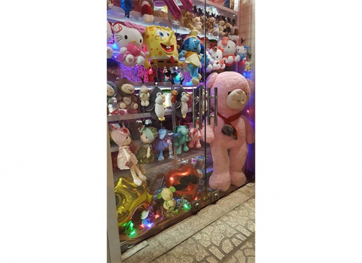 انواع تم تولد در فروشگاه لاله