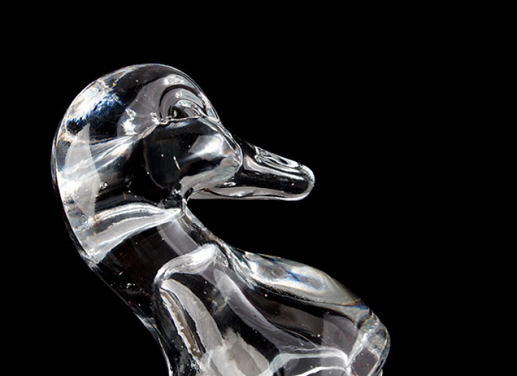 شکلات خوری قو