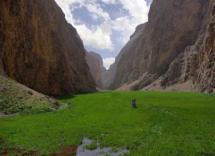 تور یک و نیم روزه آژانس بیتاگشت