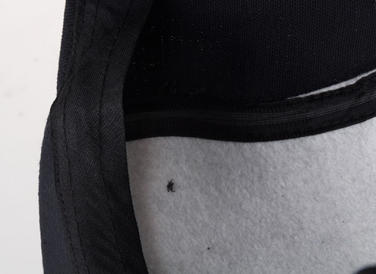 کلکسیون کلاه کپ