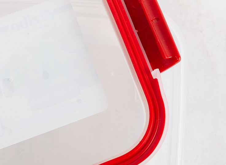 ظرف نگهدارنده Ziba