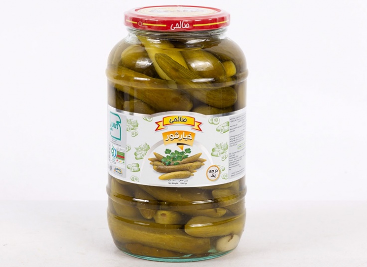 خیارشور صالحی