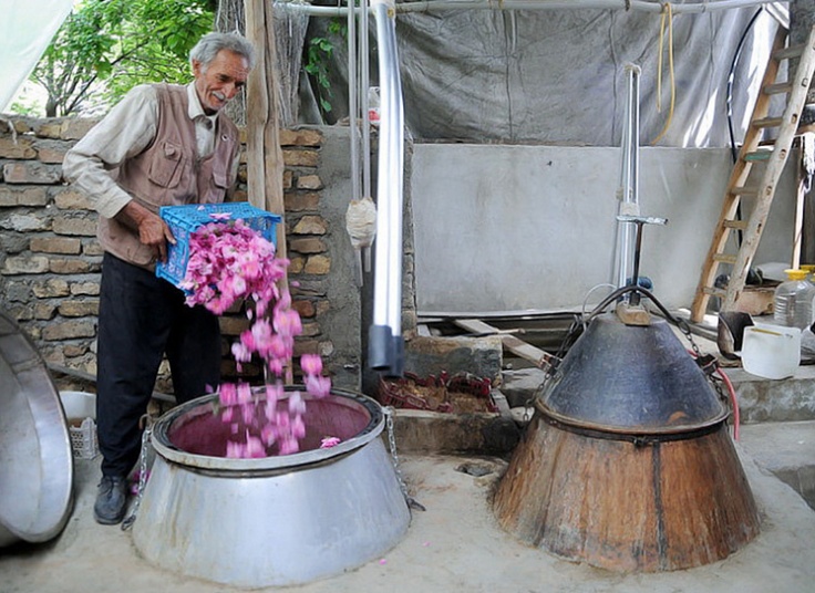 تور یک روزه کاشان آژانس شال و کلاه سفر