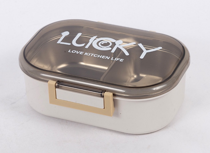 انواع لانچ باکس