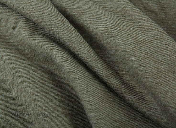 تیشرت آستین بلند RED HERRING