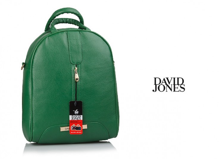 کیف کوله جدید David Jones