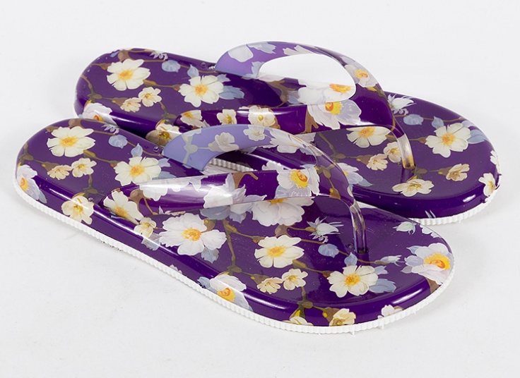 دمپایی لاانگشتی زنانه Delsa