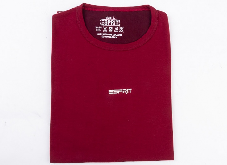 تیشرت آستین کوتاه مردانه Esprit