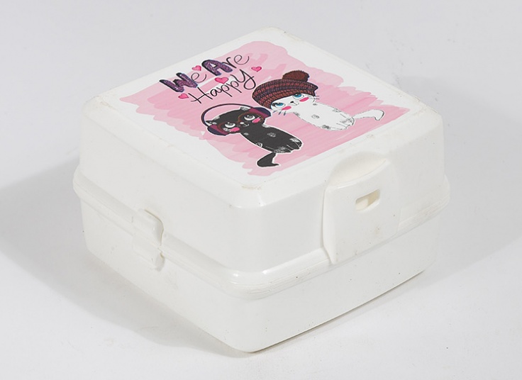 ظرف غذای طرحدار