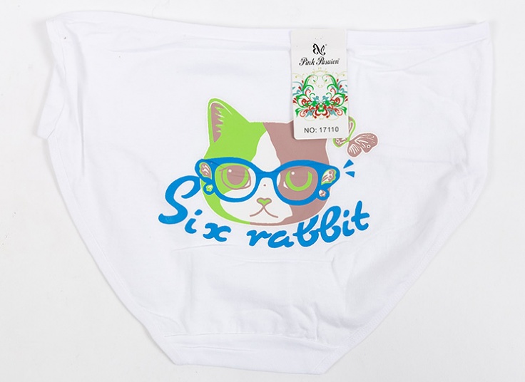 لباس زیر زنانه Pink Pasuion