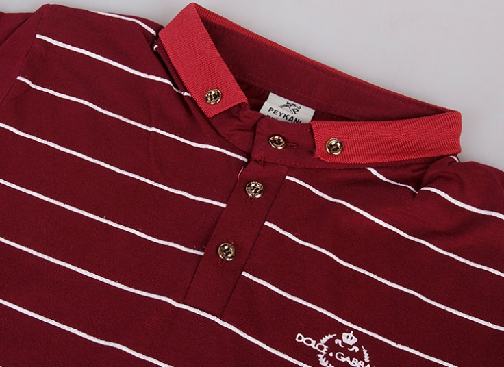 پولوشرت مردانه طرح D and G