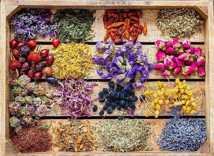 کارگاه گیاهان دارویی مناسب سلامت بدن در گیاه دانه