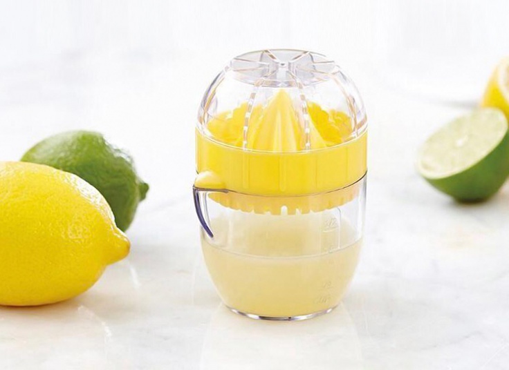 مینی آبمیوه گیری Bird