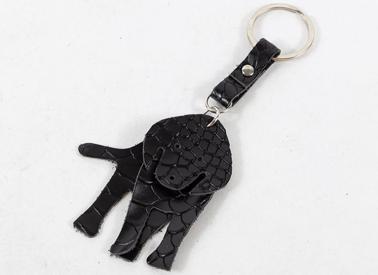 جاسوئیچی چرم