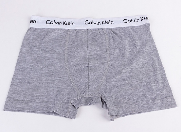 لباس زیر مردانه باکسر Calvin Klein