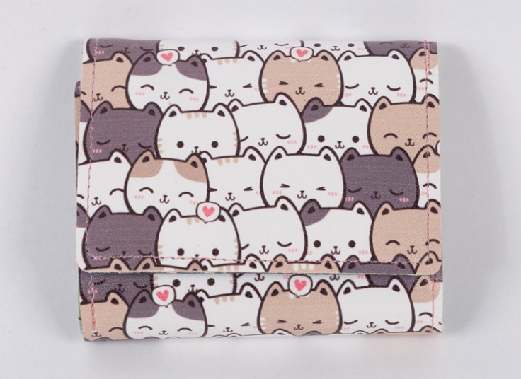 کیف پول و جاکارتی فانتزی