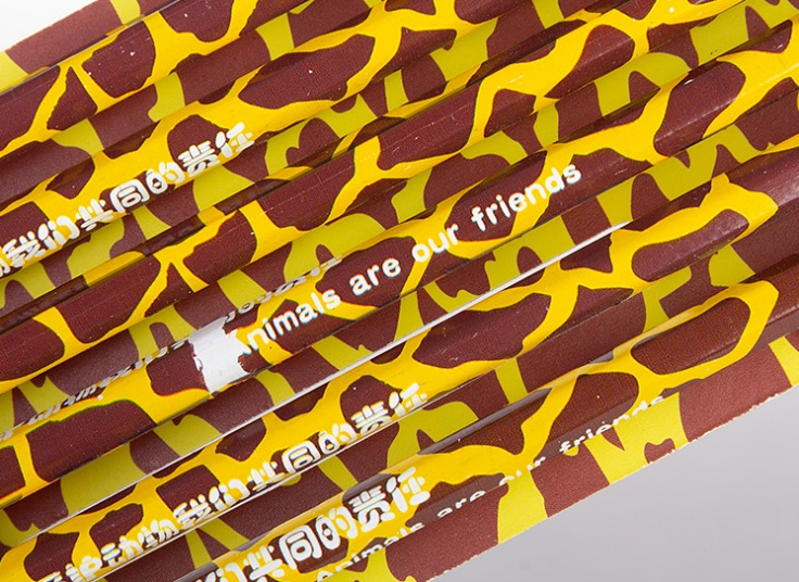 پکیج 6عددی مداد ZOO