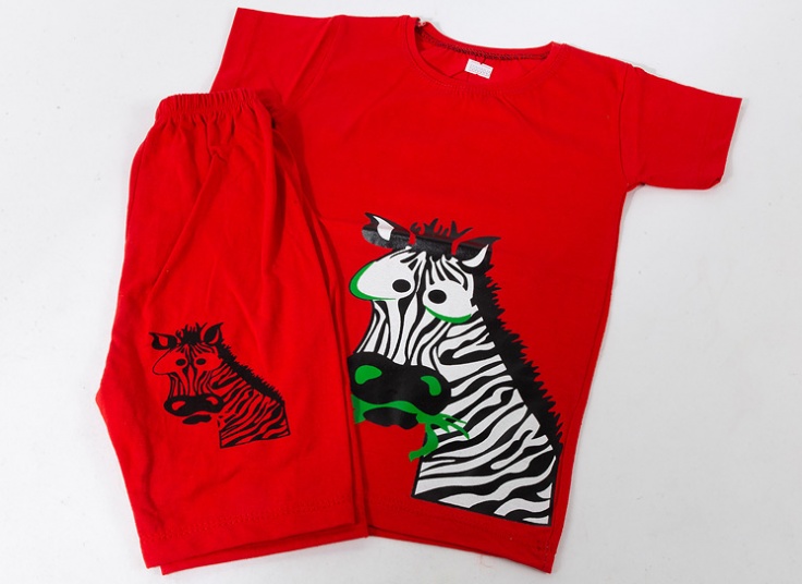 ست تیشرت شلوارک پسرانه Zebra