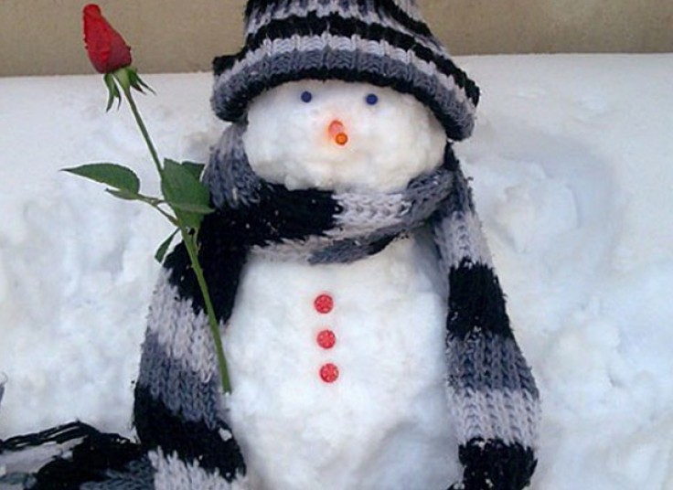 تورهای یک روزه آژانس مسافرتی مهام