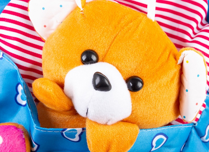 کیف کوله فانتزی Teddy