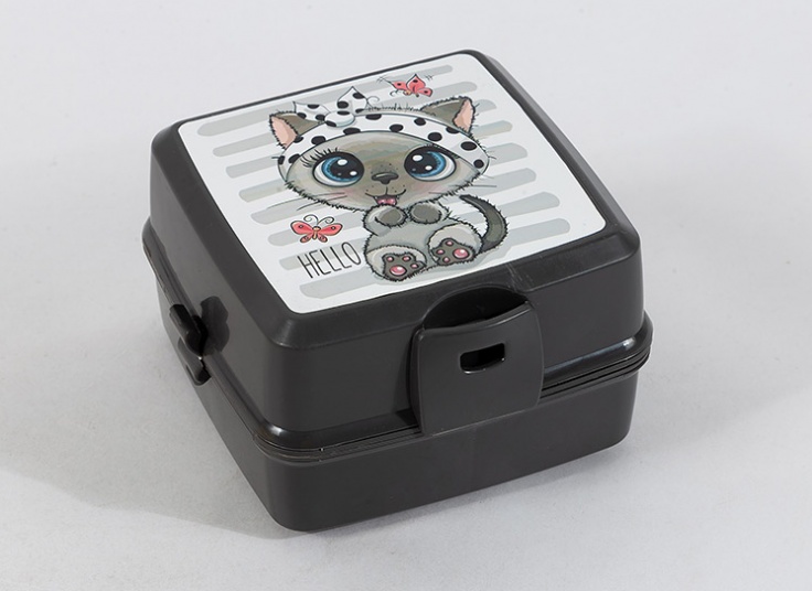 ظرف غذای طرحدار