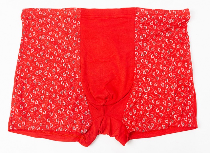 لباس زیر مردانه سایزبزرگ Bijan