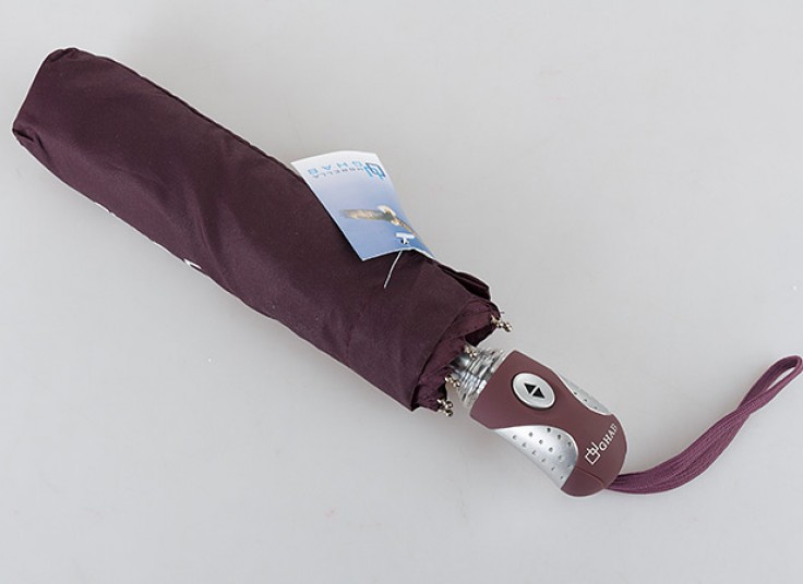 چتر اتوماتیک Schwan