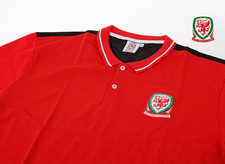 پولوشرت مردانه IRELAND