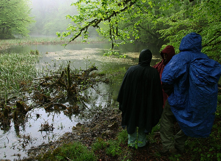 تور دریاچه فراخین و آبشار دارنو