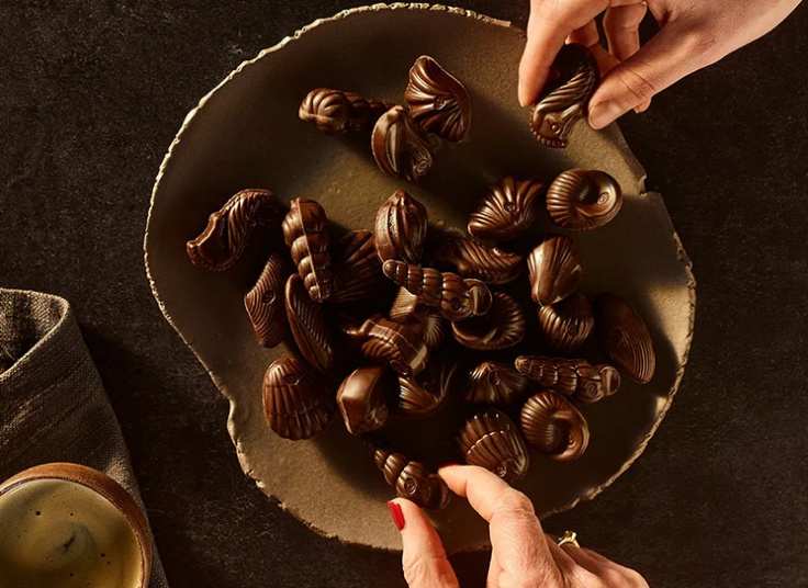 شکلات کادویی صدفی Guylian