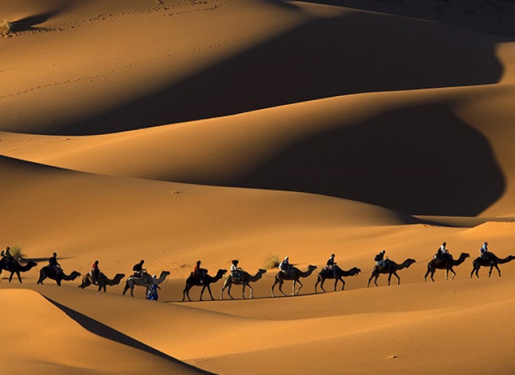 تور کویر مصر