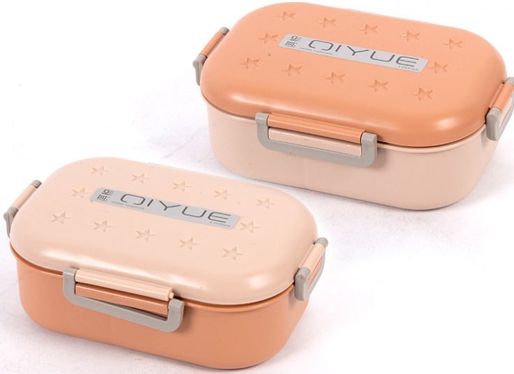 انواع لانچ باکس