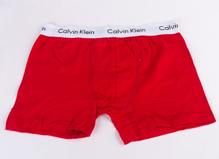 لباس زیر مردانه باکسر Calvin Klein