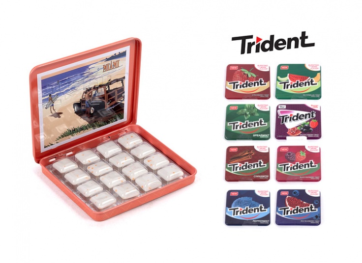 آدامس Trident جعبه فلزی