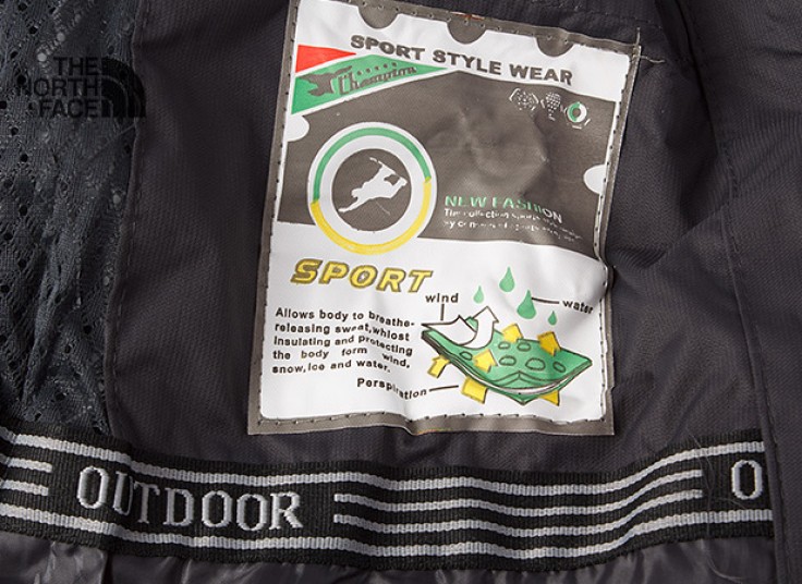 کاپشن کوهنوردی زنانه THE NORTH FACE