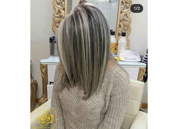 خدمات رنگ و مش در سالن زهره