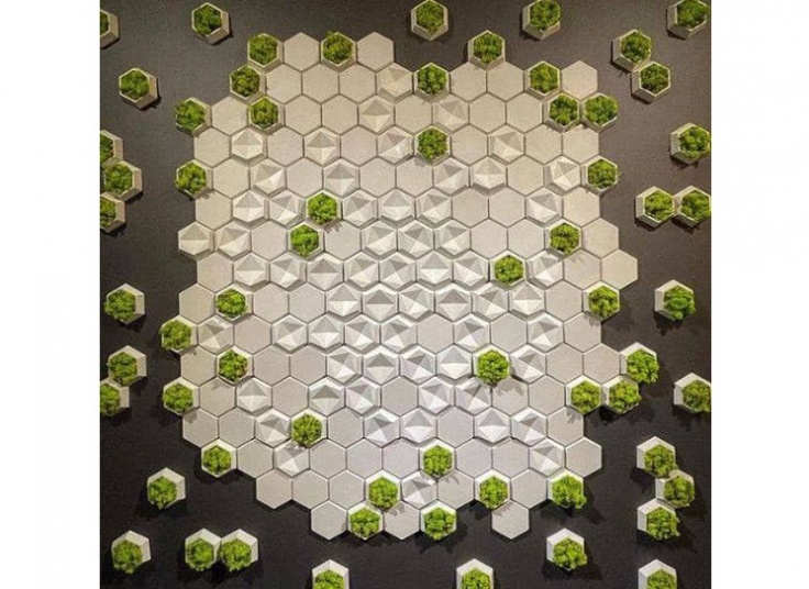 خدمات سنگ دیوارپوش Home Stone