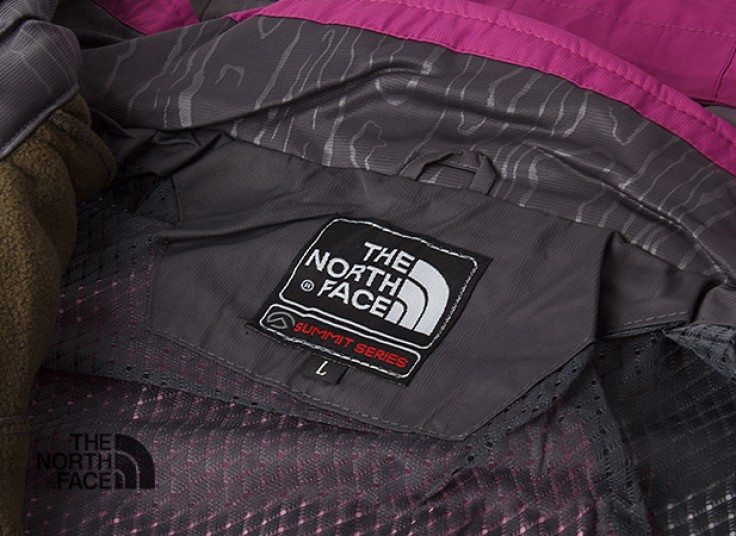 کاپشن کوهنوردی زنانه THE NORTH FACE